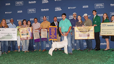 Reserve Wether
Kentucky State Fair
